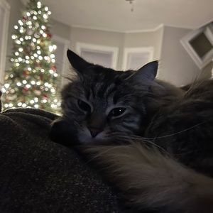 Meet your Posher, Jamie